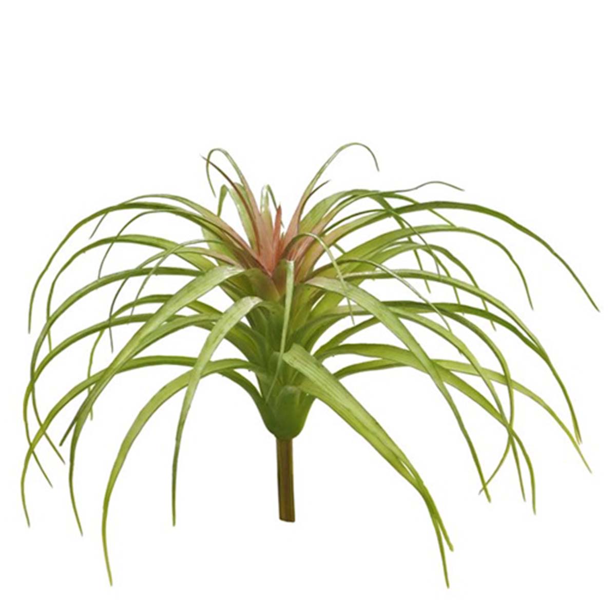 Kunstpflanze Luftpflanze Tillandsia grün, 26cm, Pick
