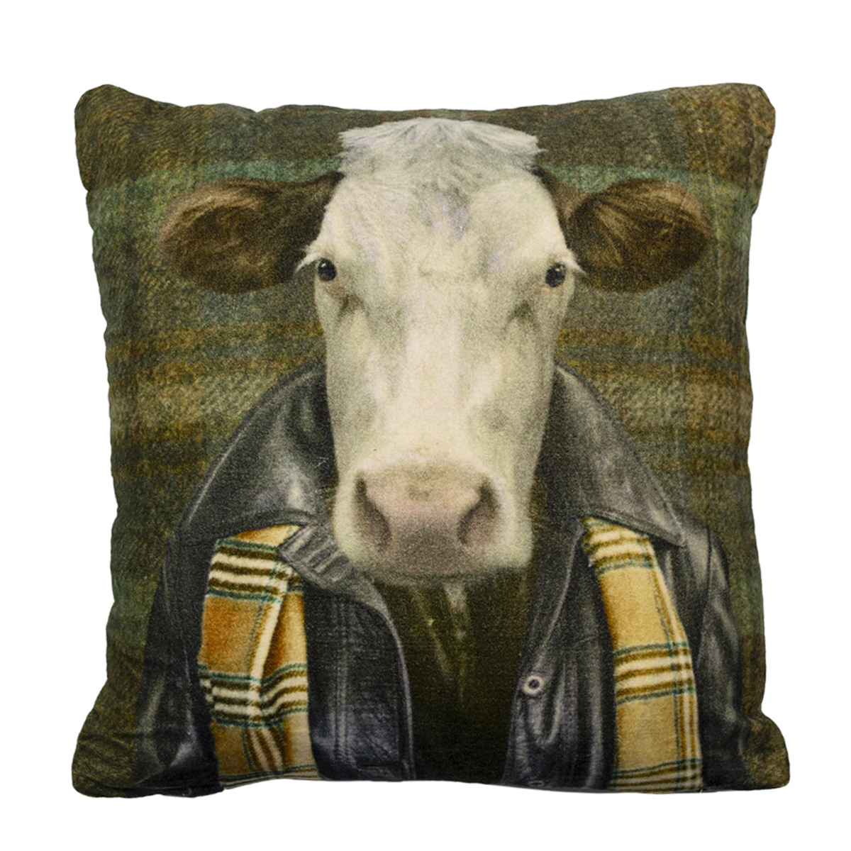 Samt Kissen, Preppy Kuh, 45x45cm, Mars & More