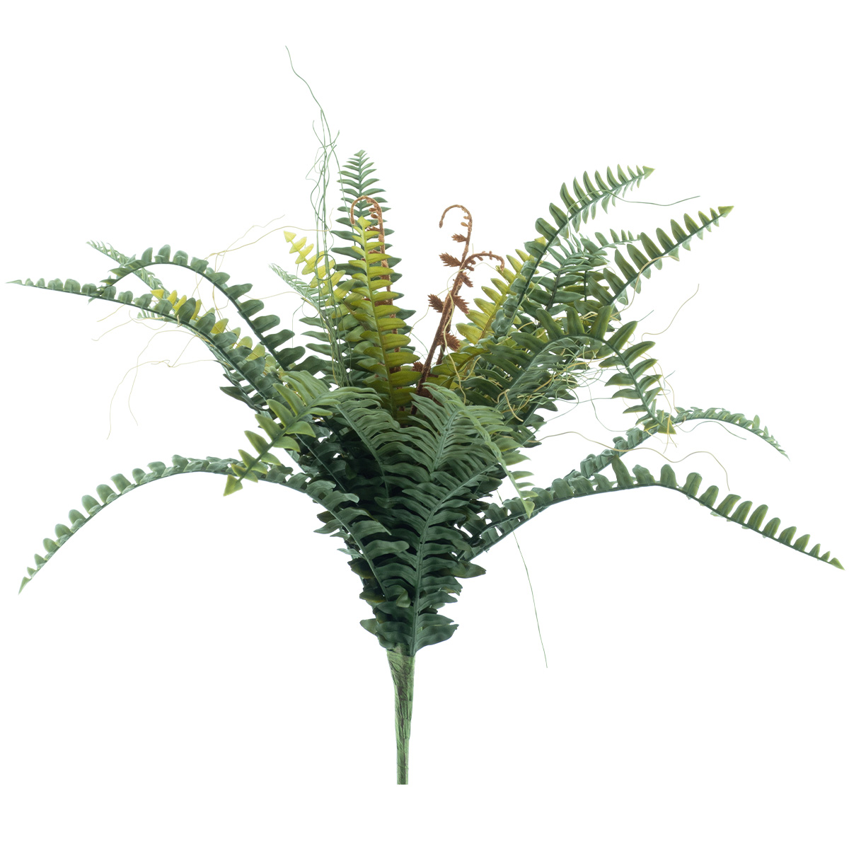 Kunstpflanze Farn, Schwertfarn, 48cm, Stecker