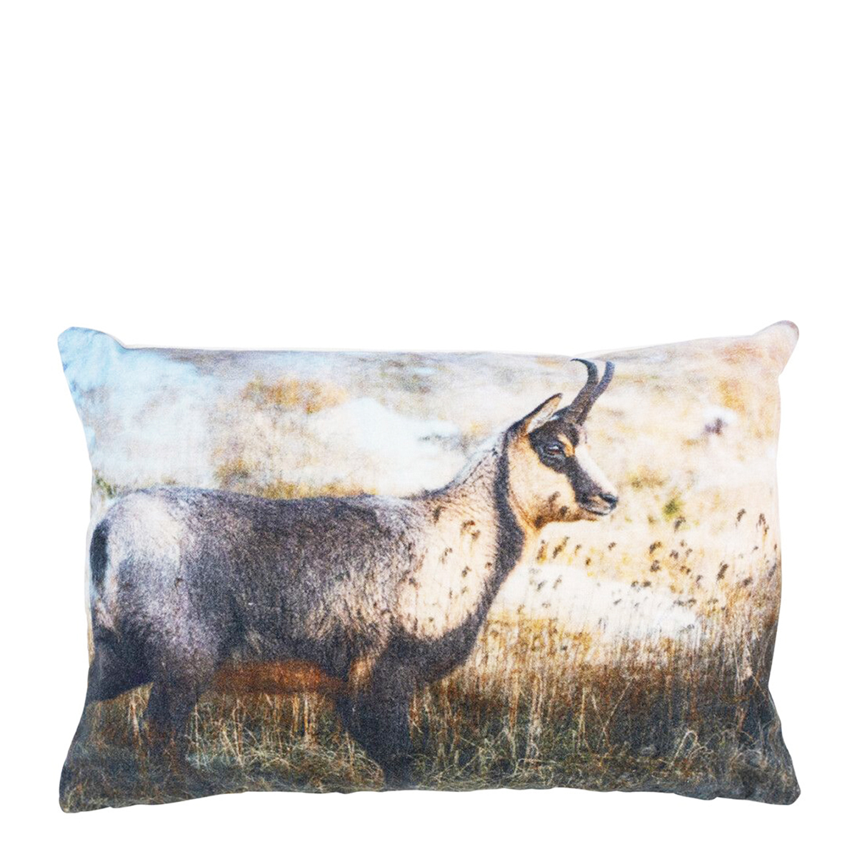 Samt Kissen Gams, Kissen aus Samt mit Gams, 40x60cm, Mars & More