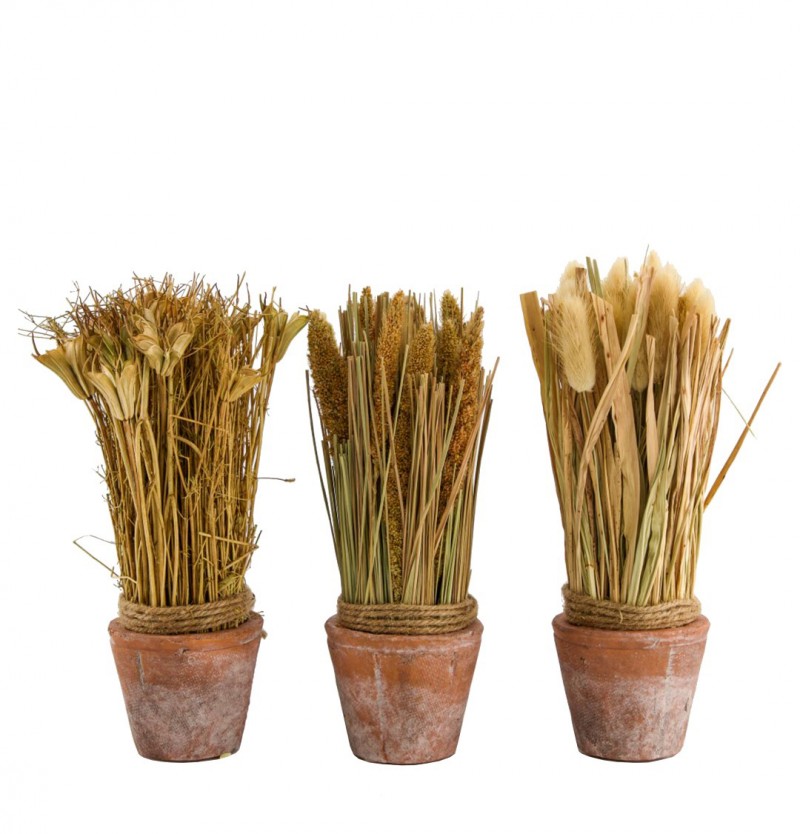 Natur Trockenpflanzen getopft 3-fach sortiert