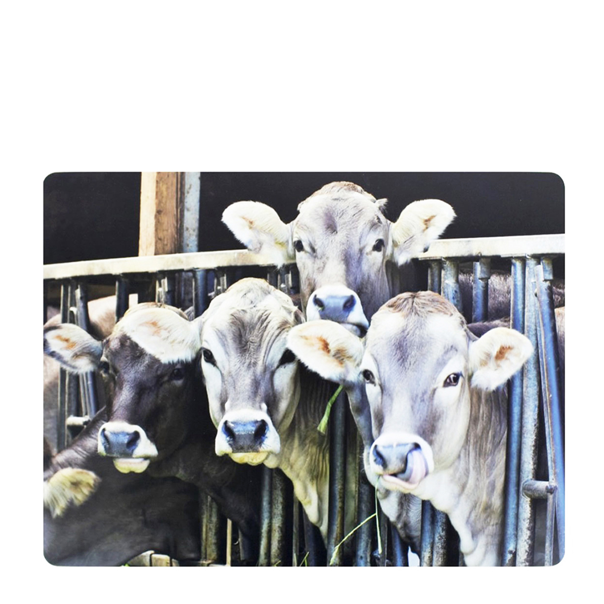 Tischset Kuh, Kälber im Stall, 40x30cm, MDF-Kork, Mars & More