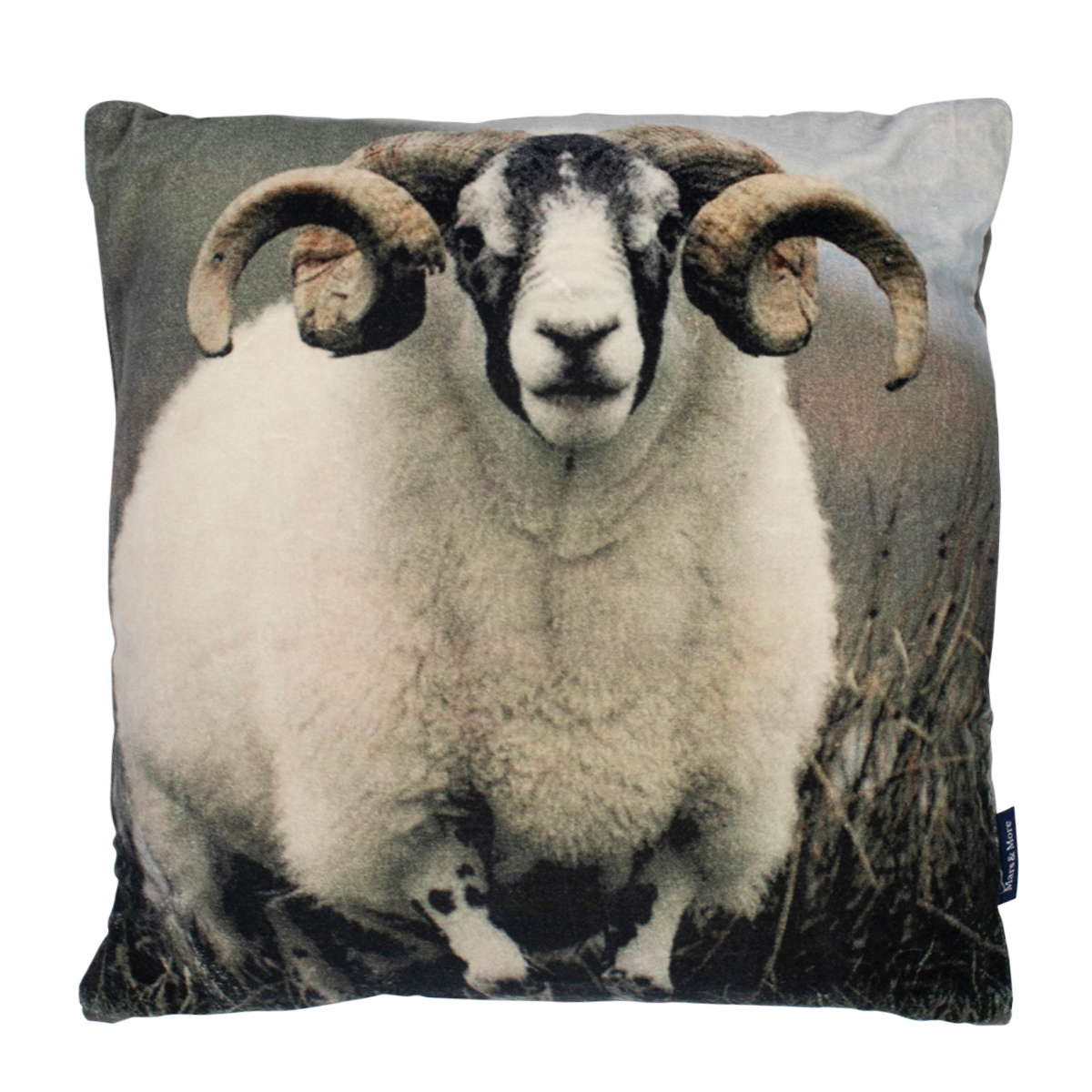 Samt Kissen Widder, 45x45cm, Mars & More