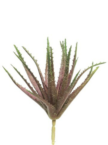 Deko Aloe ""Barbata"", 29cm, Pick