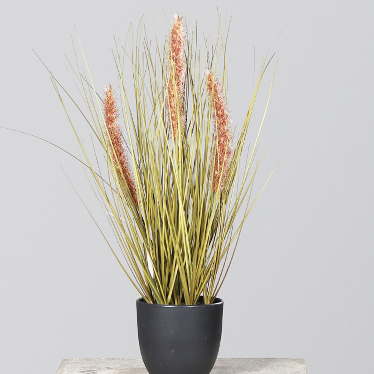 Deko Kunstgras, Fuchsschwanzgras, Fruchtstände orange/braun, 42cm, getopft