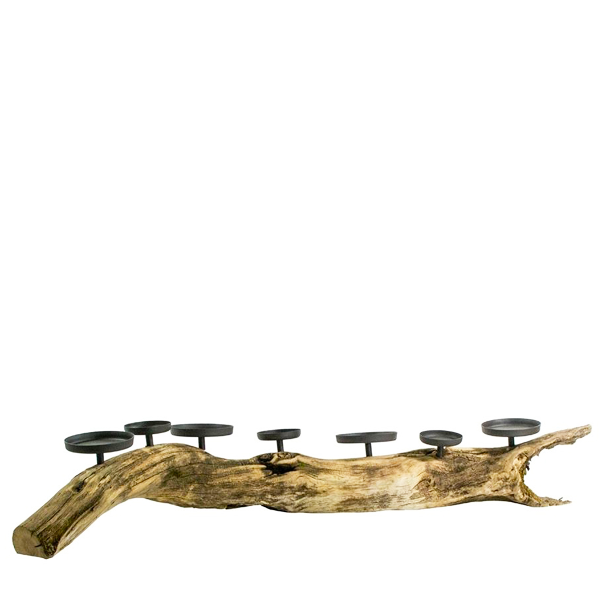 Holz Windlicht Eichenast, Ast mit 7 Kerzengläser, 110cm, WMG Grünberger