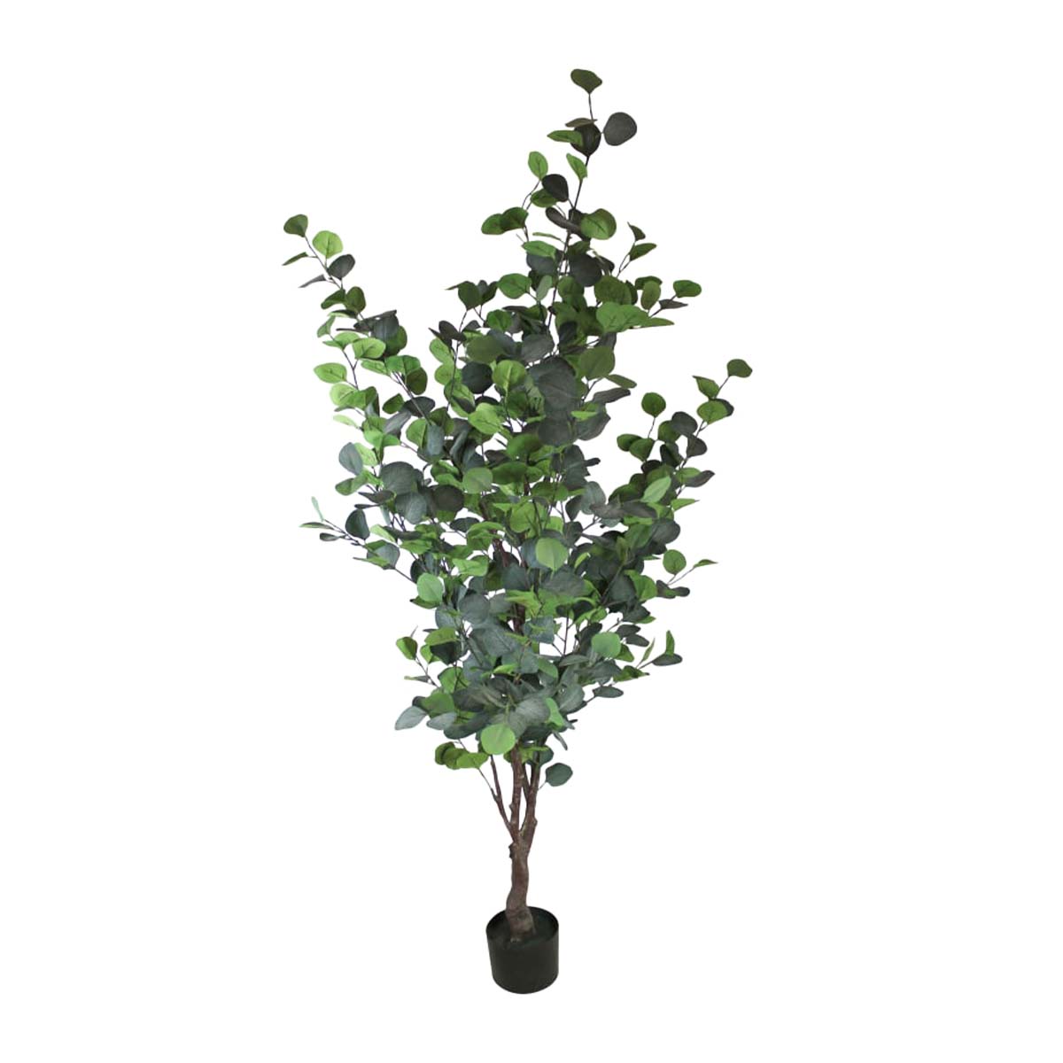 Deko Kunstpflanze Baum Eukalyptus, Eukalyptusbaum, 180cm, DIJK Natural Collections