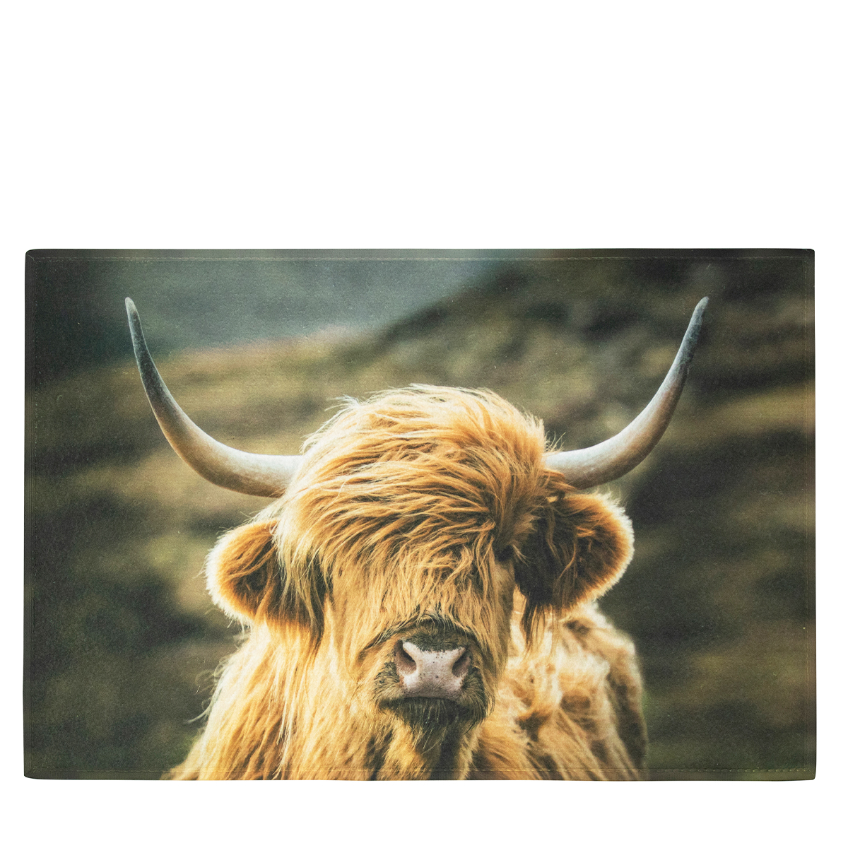 Textil Fußmatte Kuh, Schottisches Hochlandrind, 75x50cm, Mars & More