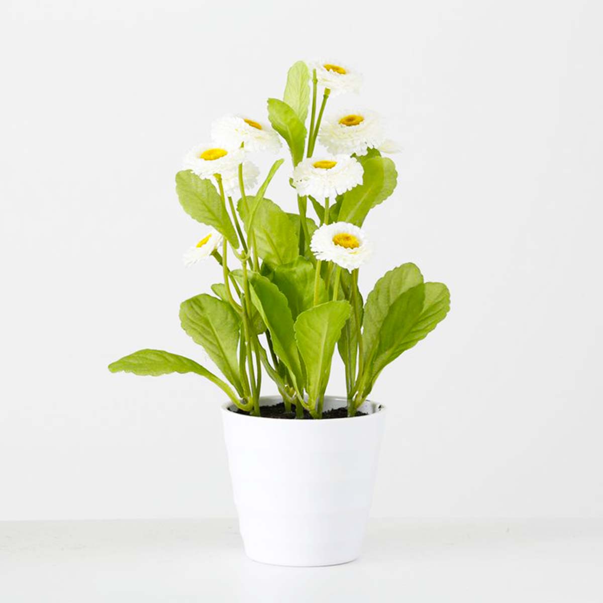 Deko Kunstblume Bellis, Gänseblümchen im Topf blühend, weiß, 30cm, Boltze Home Collections