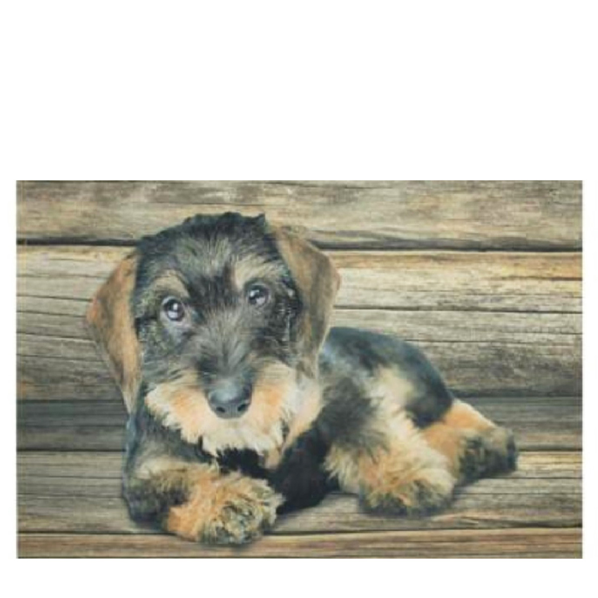 Textil Fußmatte Dackel, Rauhaardackel liegend, 75x50cm, Mars & More