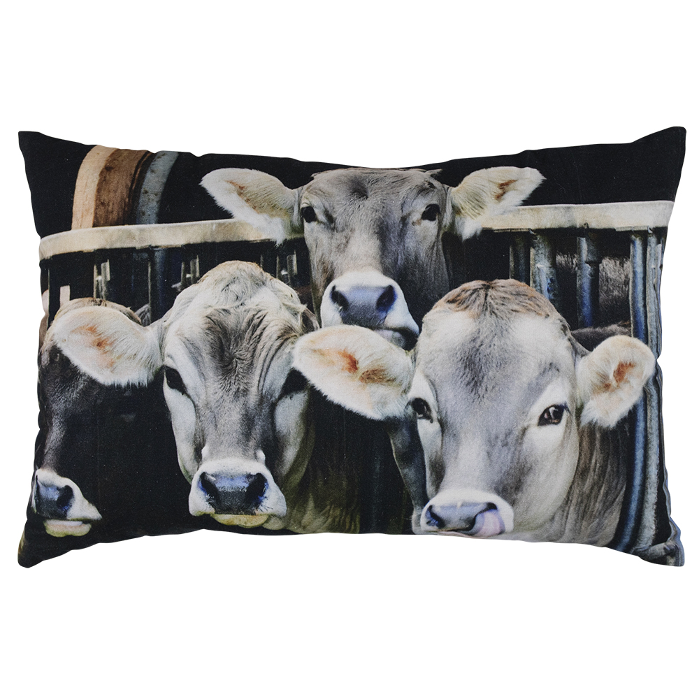 Kanevas Kissen, Kälber im Stall, 40x60cm, Mars & More