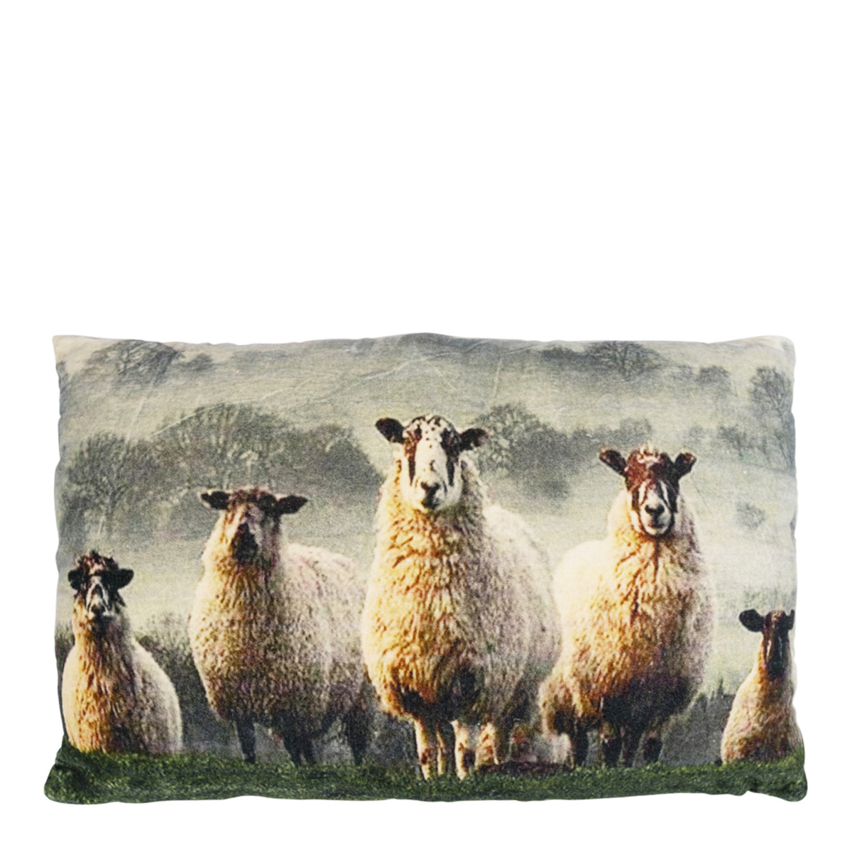 Samt Kissen, Schafe im Gras, 40x60cm, Mars & More