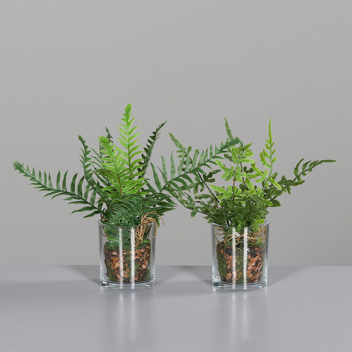 Deko Kunstpflanze Farn, Farnarrangement im Glas, 20cm, DPI GmbH