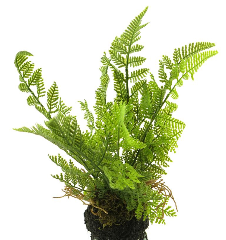 Deko Leder-Farn, in Erdkugel