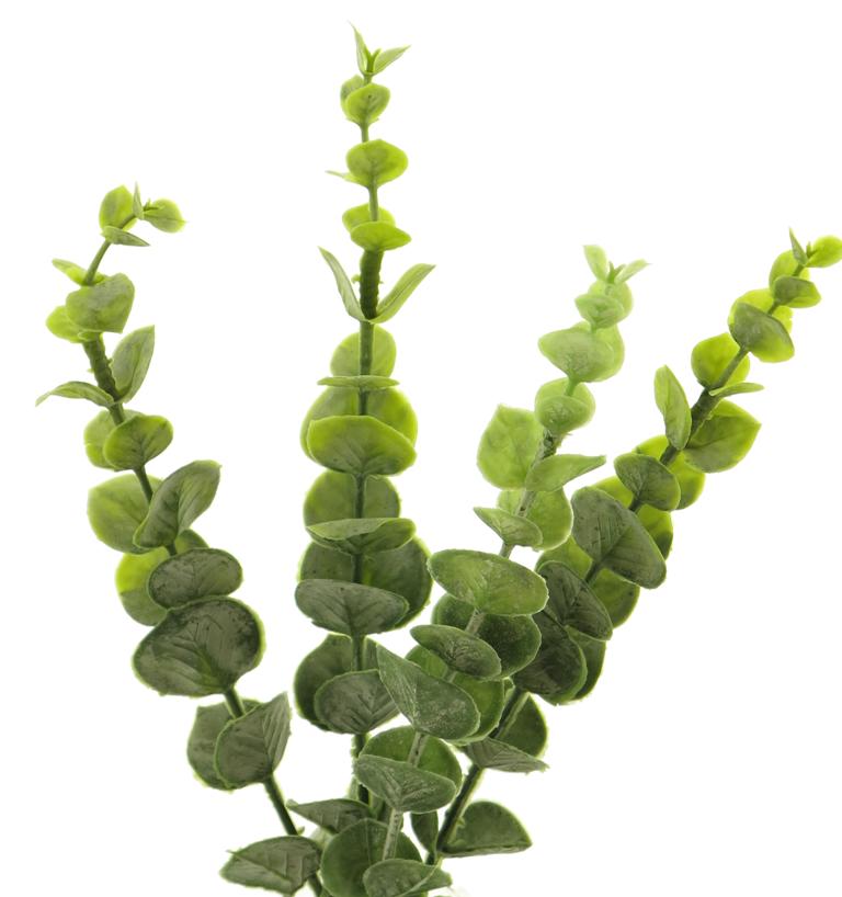 Deko Eucalyptus,  Pick