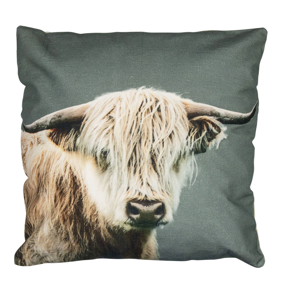 Kanevas Kissen, Schottisches Hochlandrind, 50x50cm, Mars & More