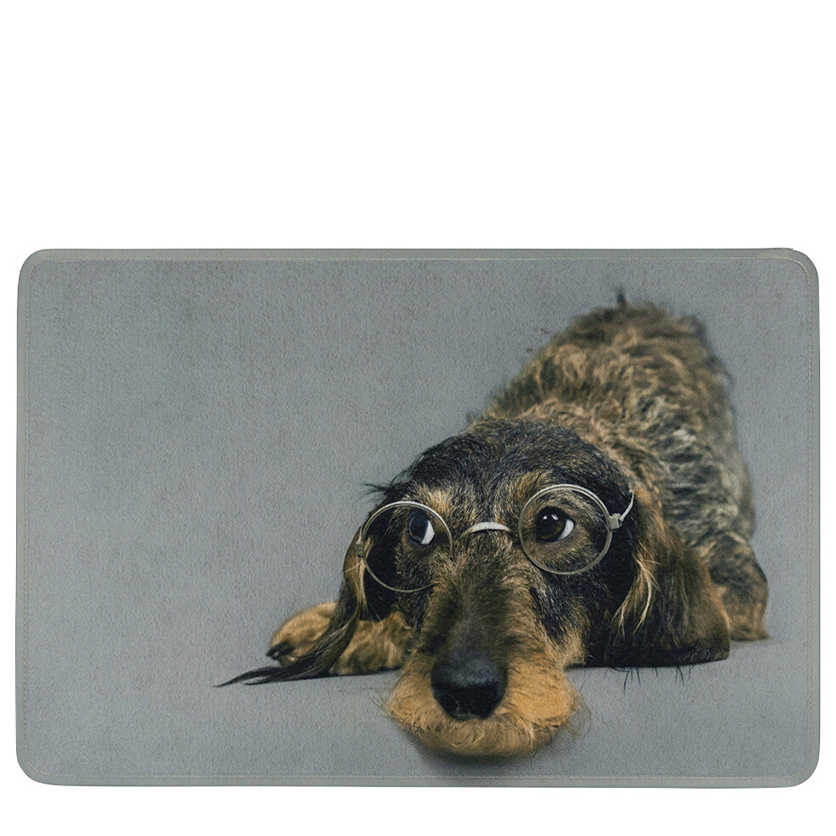 Textil Fußmatte Dackel, Dackel mit Brille, 75x50cm Mars & More