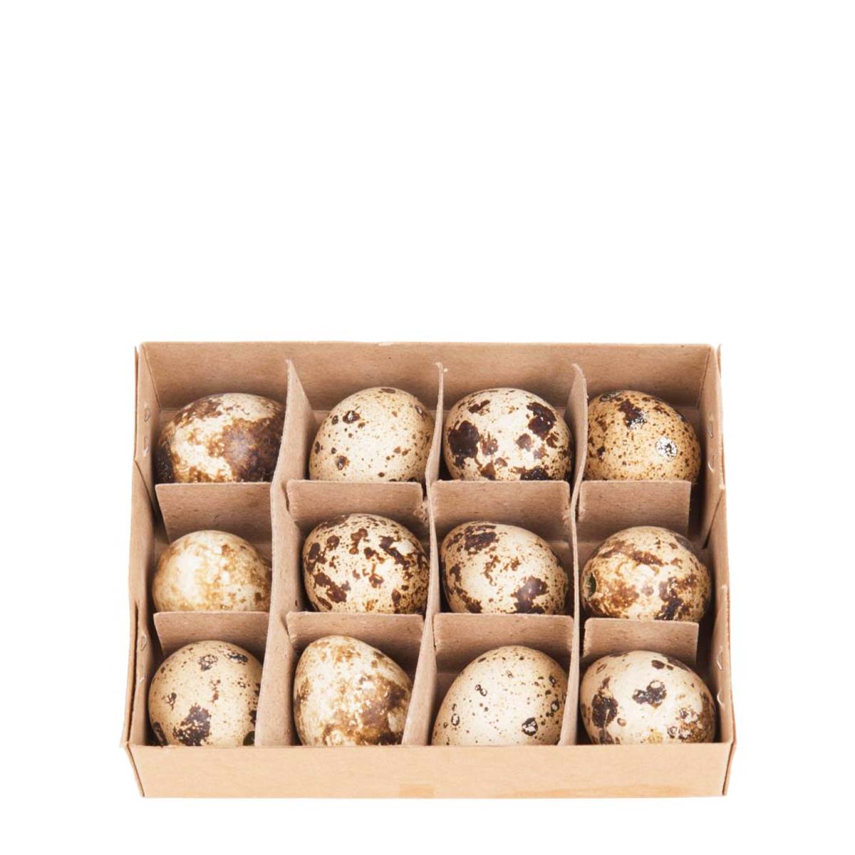 Deko Eier natur, Wachteleier natur, 12St/Box, DIJK Natural Collections
