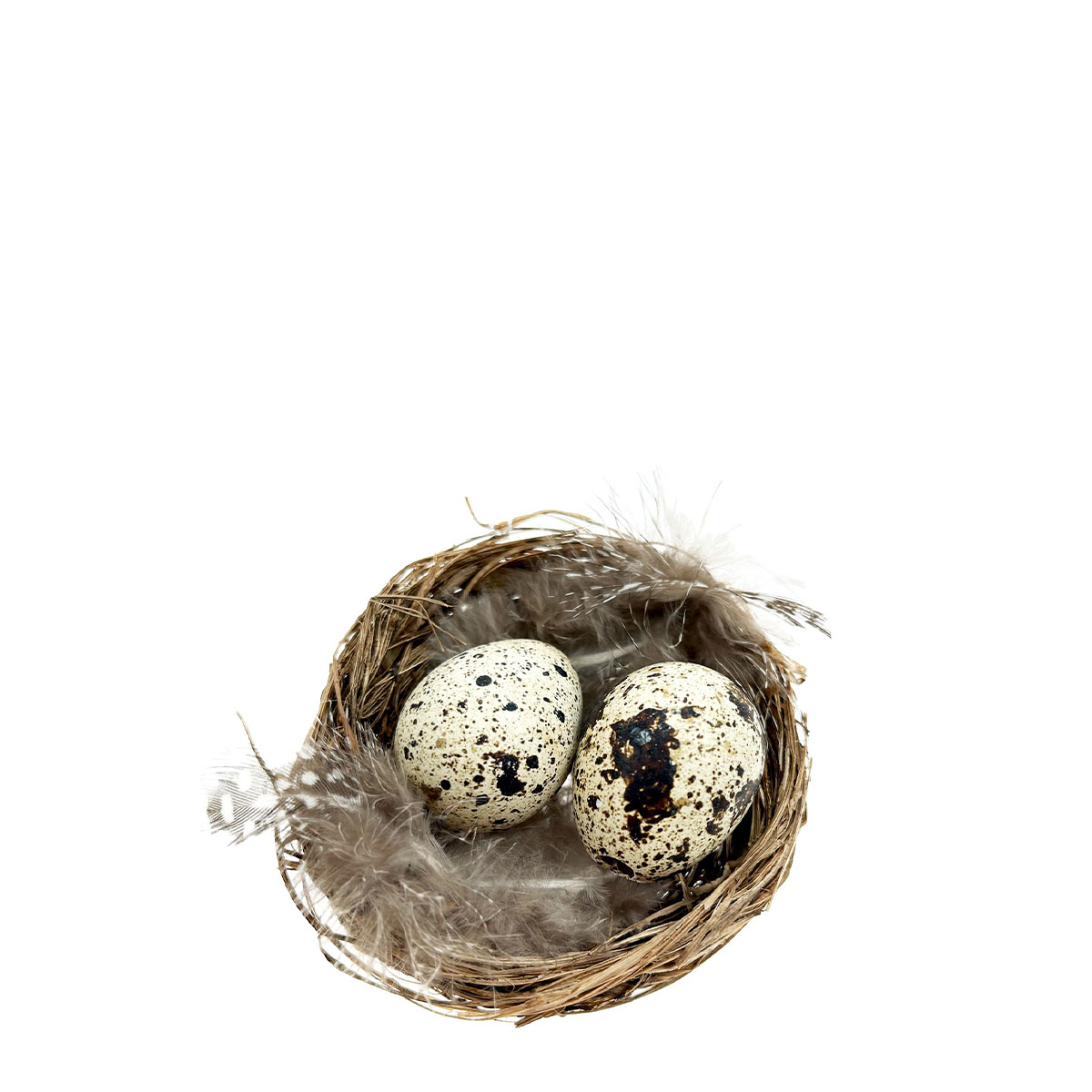 Deko Vogelnest, Nest mit Wachteleier und Federn, Ø6cm, Natur