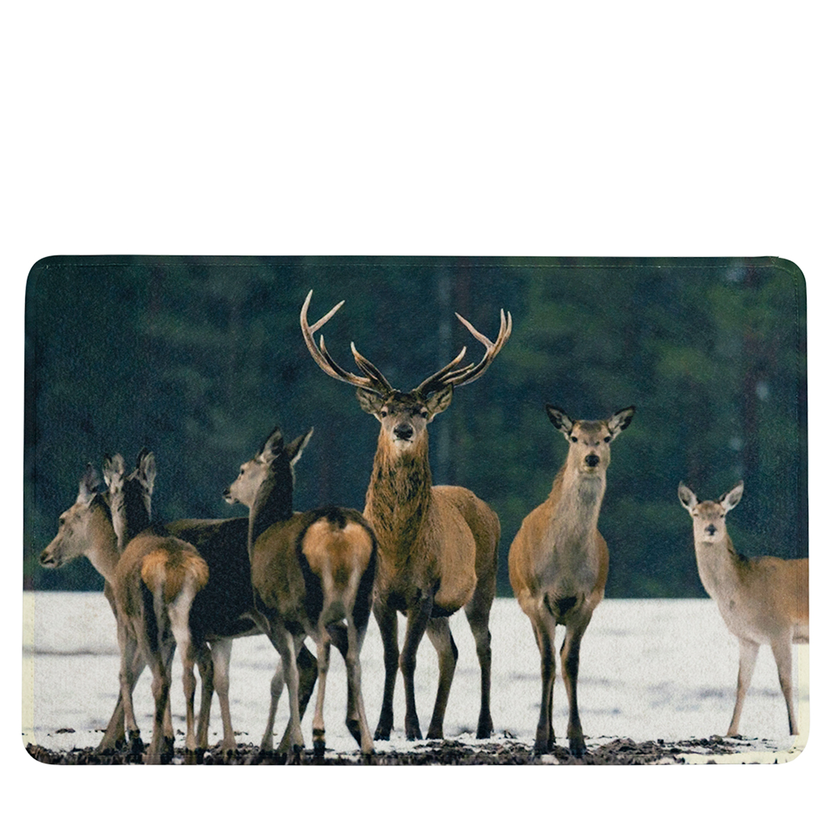 Textil Fußmatte Hirsche im Schnee, Hirschrudel, 75x50cm, Mars & More