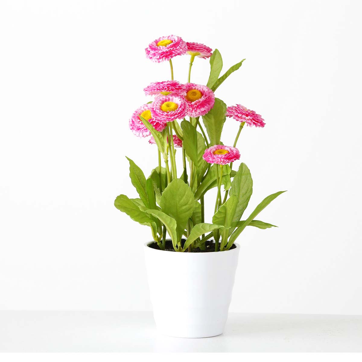 Deko Kunstblume Bellis, Gänseblümchen im Topf blühend, pink, 30cm, Boltze Home Collections