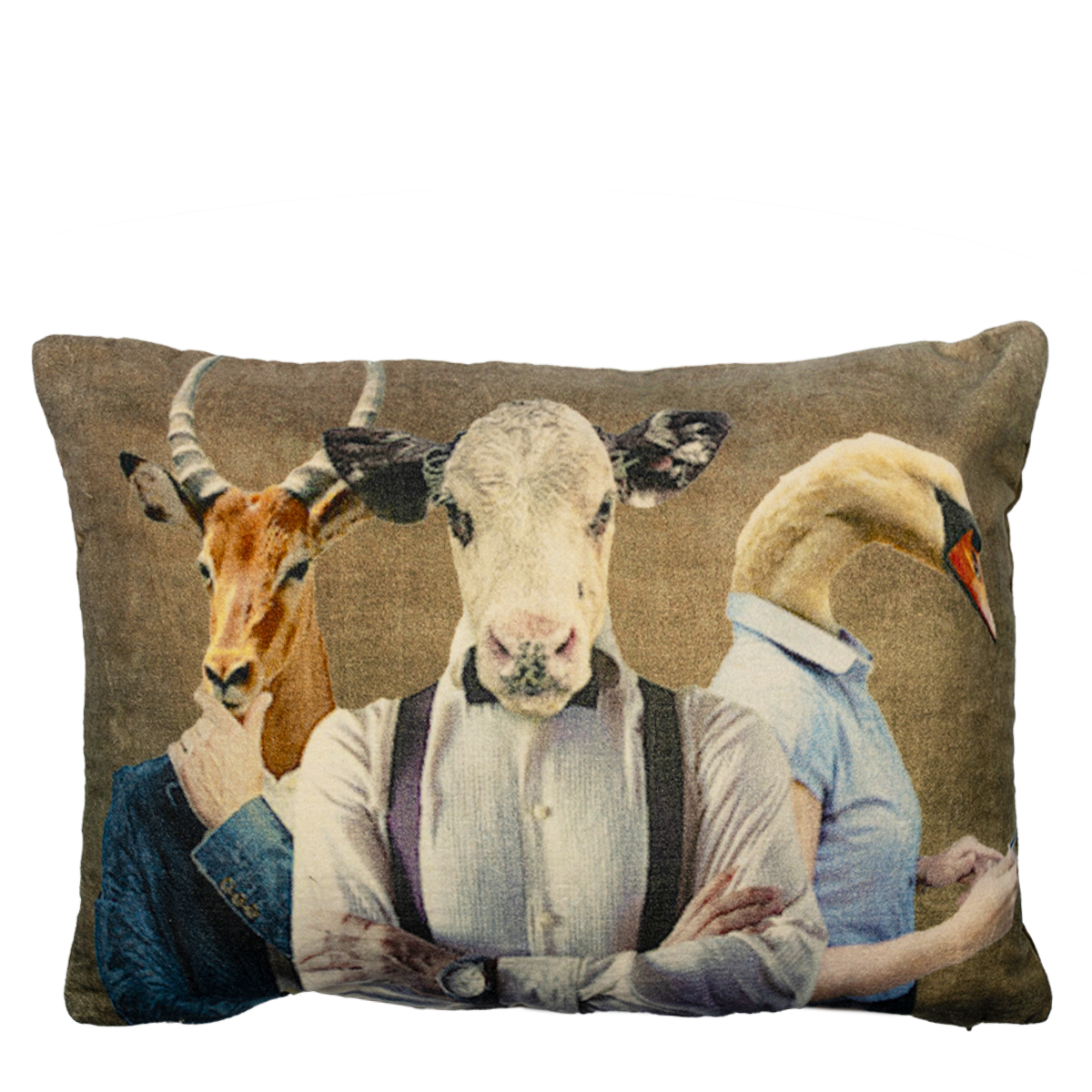 Samt Kissen Tiere, Kissen Preppy mit Kuh, Schwan, Antilope, 30x60cm, Mars & More